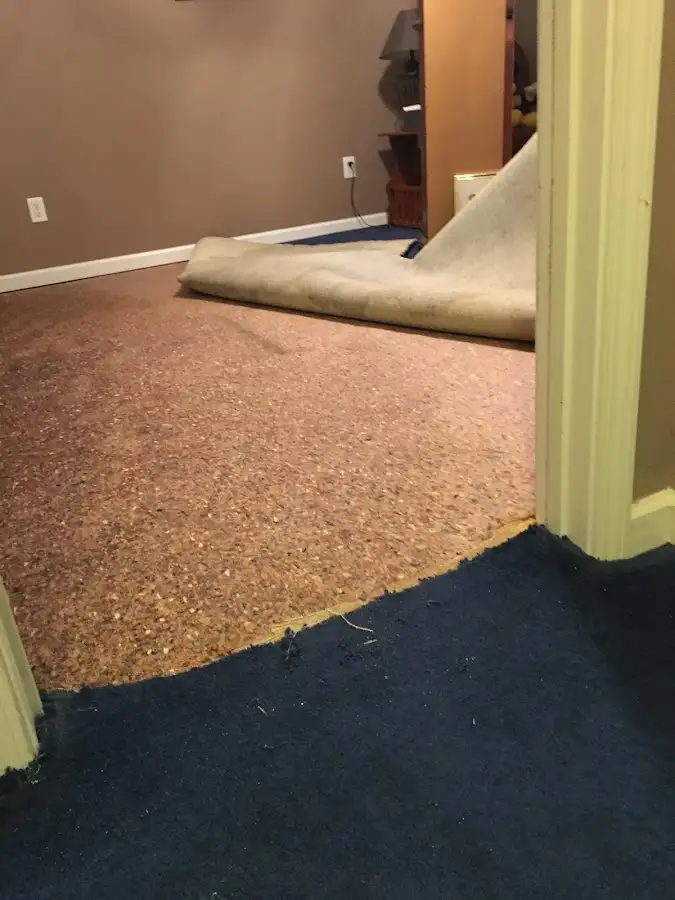 Carpet pad removal revealing water damage during Water Mitigation Services in Raritan